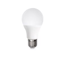 B.V. LED Izzó A60 E27/12W/230V 6500K