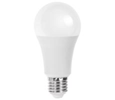 B.V. LED Izzó A60 E27/21W/230V 6500K