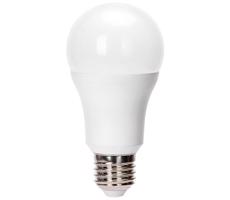 B.V. LED Izzó A60 E27/24W/230V 6500K