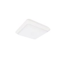 Greenlux LED Kültéri mennyezeti lámpa TIPO LED/24W/230V IP66