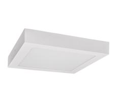 Greenlux LED Mennyezeti lámpa FENIX LED/24W/230V 3800K 29,8 cm