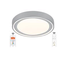 LED Dimmelhető mennyezeti lámpa LED/48W/230V 2700