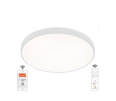 LED Dimmelhető mennyezeti lámpa LED/48W/230V 2700