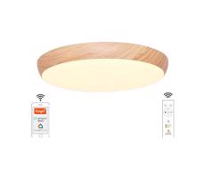 LED Dimmelhető mennyezeti lámpa LED/48W/230V 2700