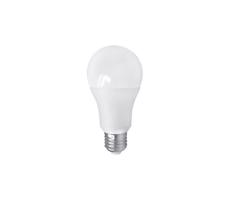 LED Izzó PITT A60 AC/DC E27/12W/24V 4000K