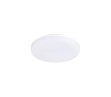 LED Kültéri mennyezeti lámpa LED/15W/230V IP54