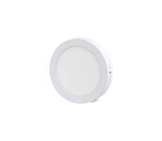 LED Mennyezeti lámpa LED/12W/230V