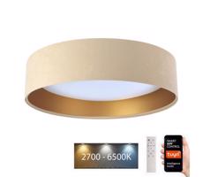 LED Mennyezeti lámpa SMART GALAXY LED/24W/230V Wi