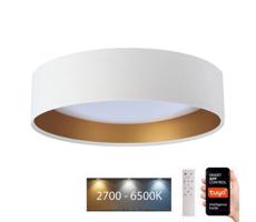 LED Mennyezeti lámpa SMART GALAXY LED/24W/230V Wi