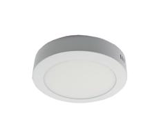 LED Menyezeti lámpa LED/12W/230V 3000K